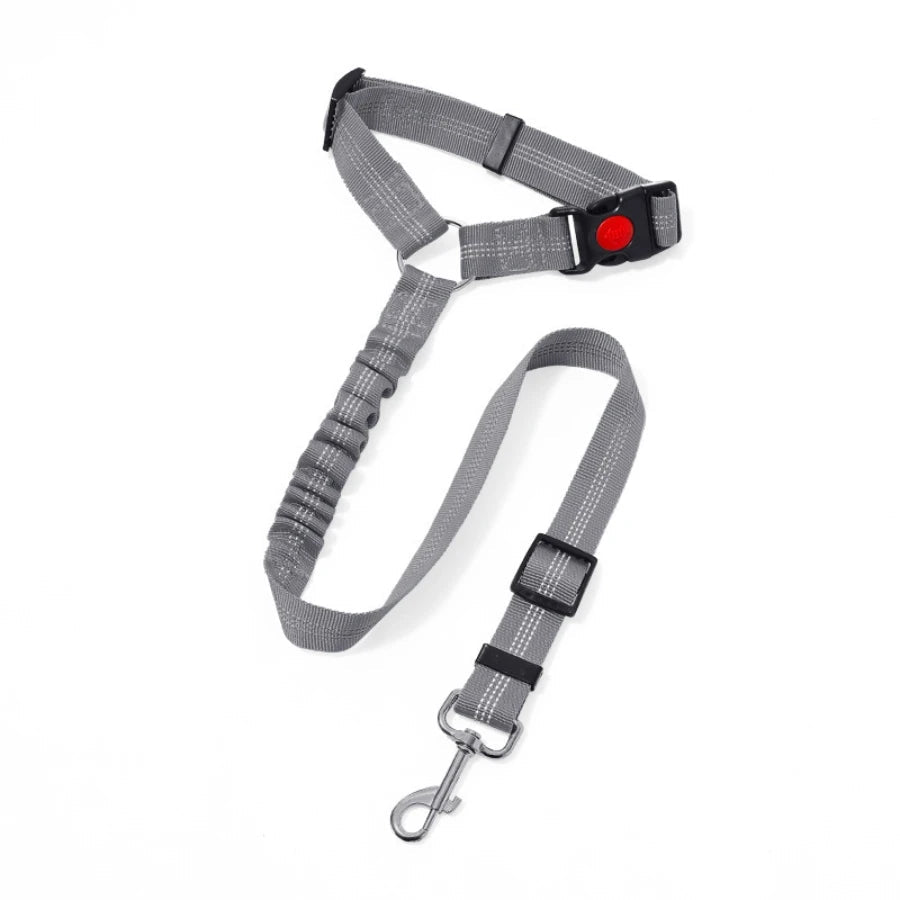 Laisse de ceinture de sécurité pour chien ou chat Oscar et Plume Gris