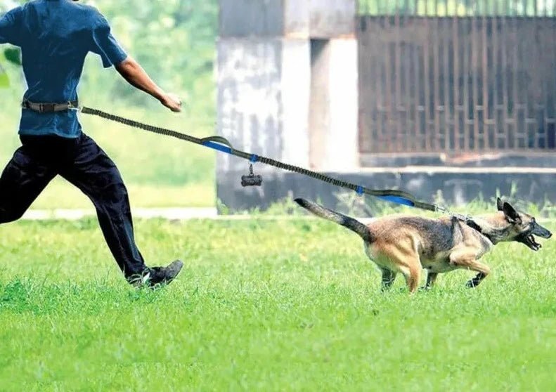 Homme utilisant une laisse elastique pour chien avec un berger allemand courant sur l'herbe
