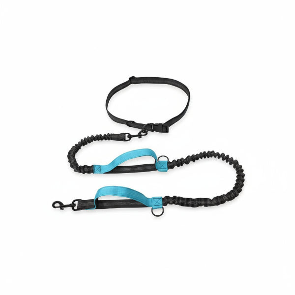 Laisse elastique pour chien noire et bleue avec poignée rembourrée et attache solide