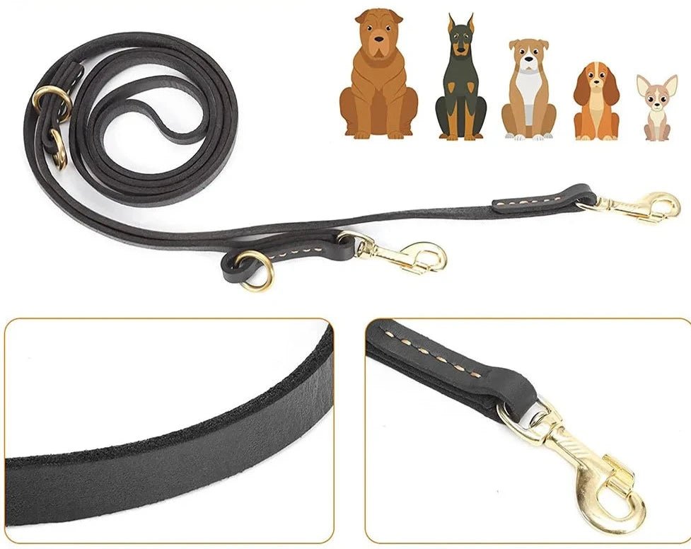 Laisse en cuir souple pour chien, mains-libres, 2m30 Oscar et Plume