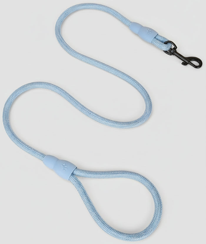 Laisse en nylon pour chien bleue avec mousqueton noir résistante et confortable pour promenade