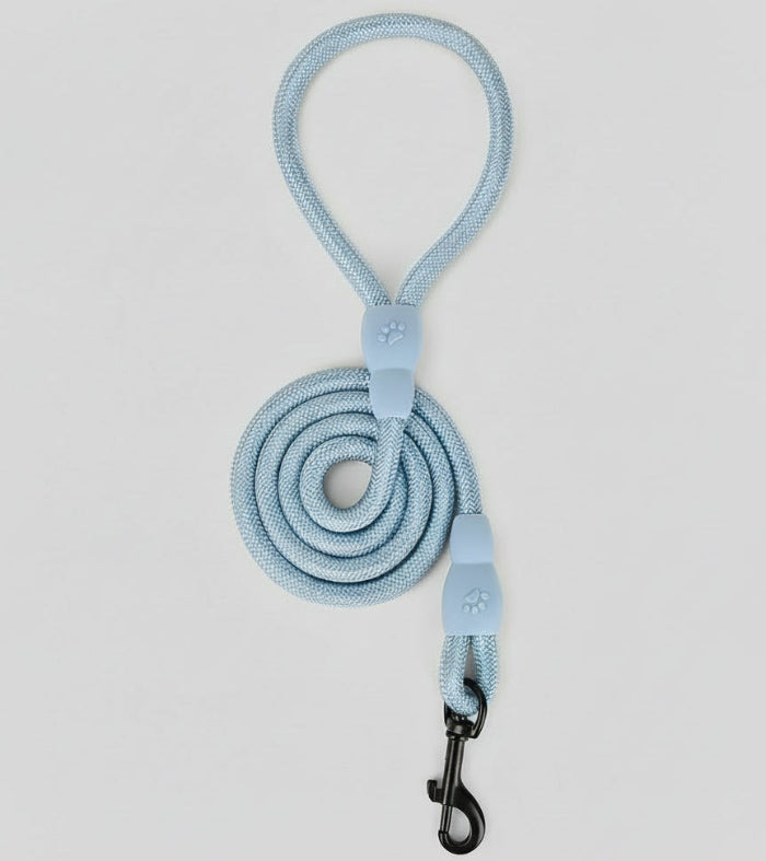 Laisse en nylon pour chien bleu clair avec mousqueton noir robuste pour promenade