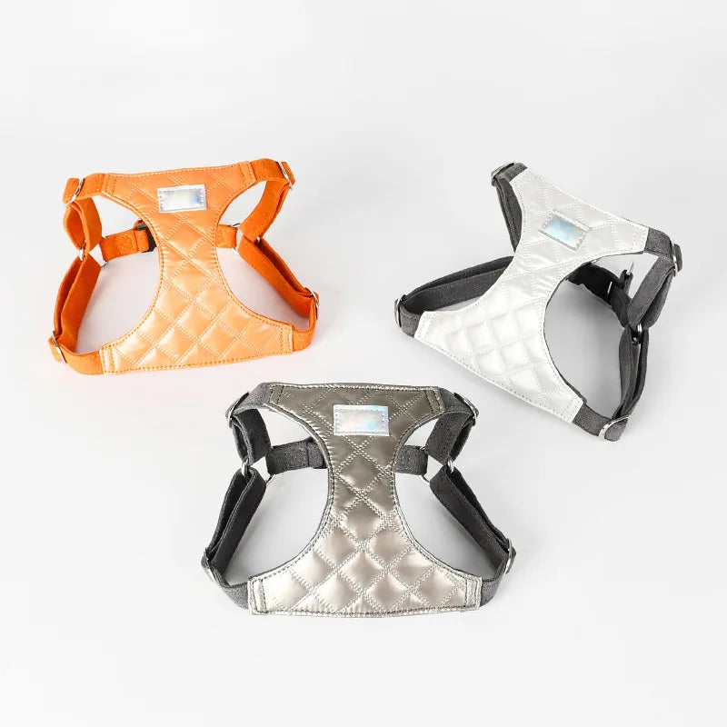 Laisse et harnais pour chien Oscar et Plume en orange, argent et noir, confortables et stylés