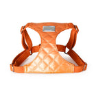 Harnais orange rembourré pour chien, idéal avec une laisse et harnais pour chien de la marque Oscar et Plume