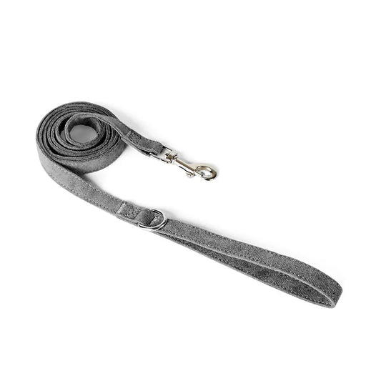 Laisse et harnais pour chien en grise, douce au toucher, parfaite pour les promenades confortables