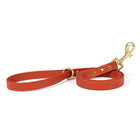 Laisse imperméable pour chien orange avec mousqueton doré et poignée confortable de Oscar et Plume