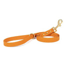 Laisse imperméable pour chien de couleur orange avec mousqueton doré et poignée confortable