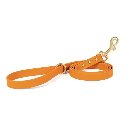 Laisse imperméable pour chien de couleur orange avec mousqueton doré et poignée confortable