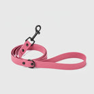 Laisse imperméable pour chien rose avec mousqueton noir et boucle de maintien