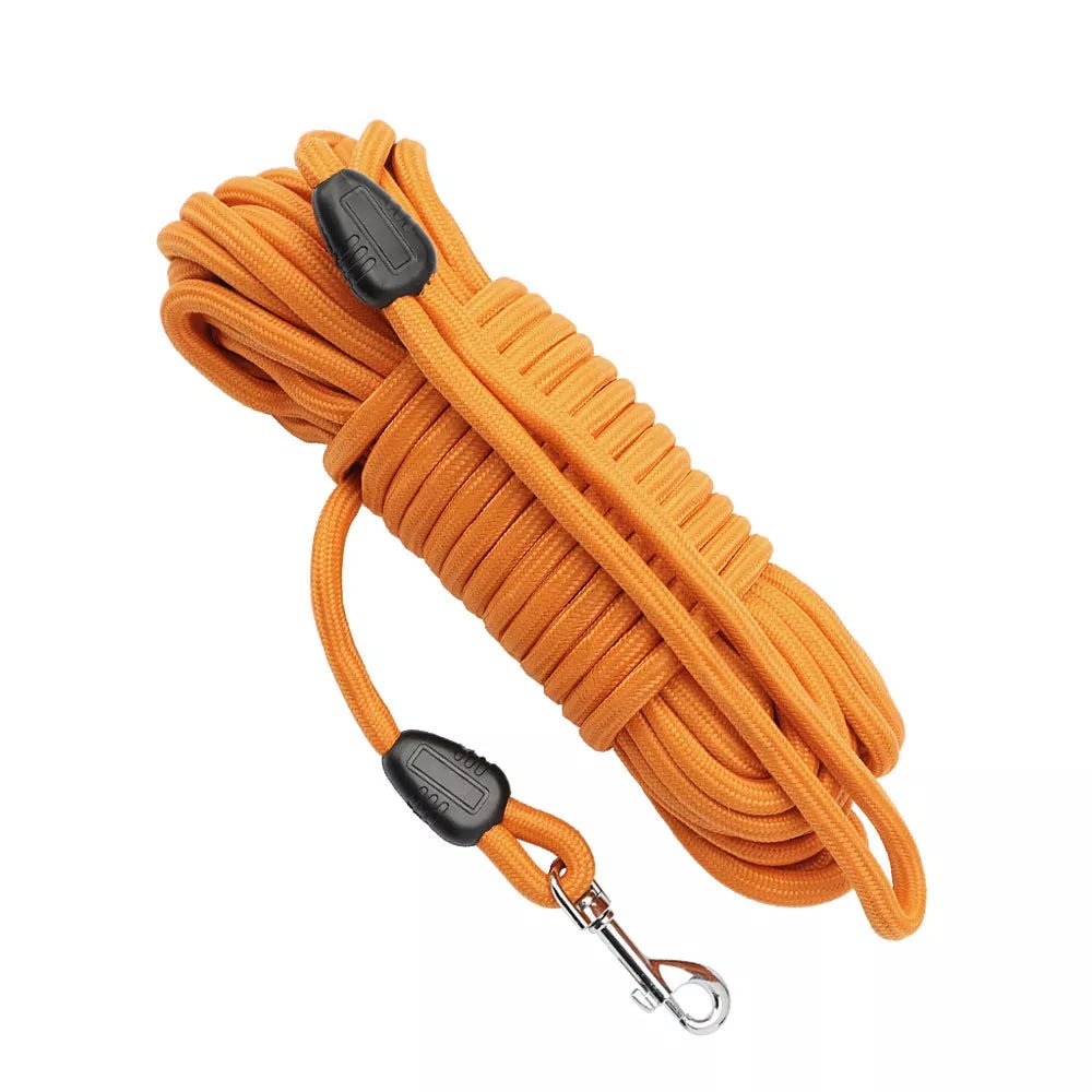 Laisse longe pour chien (5, 10, 15 m) Oscar et Plume Orange / 5 mètres