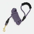 Laisse longe pour chien Oscar et Plume en violet avec une poignée confortable et mousqueton doré