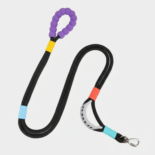 Laisse main libre chien noire avec poignée rembourrée violette et mousqueton argenté Oscar et Plume