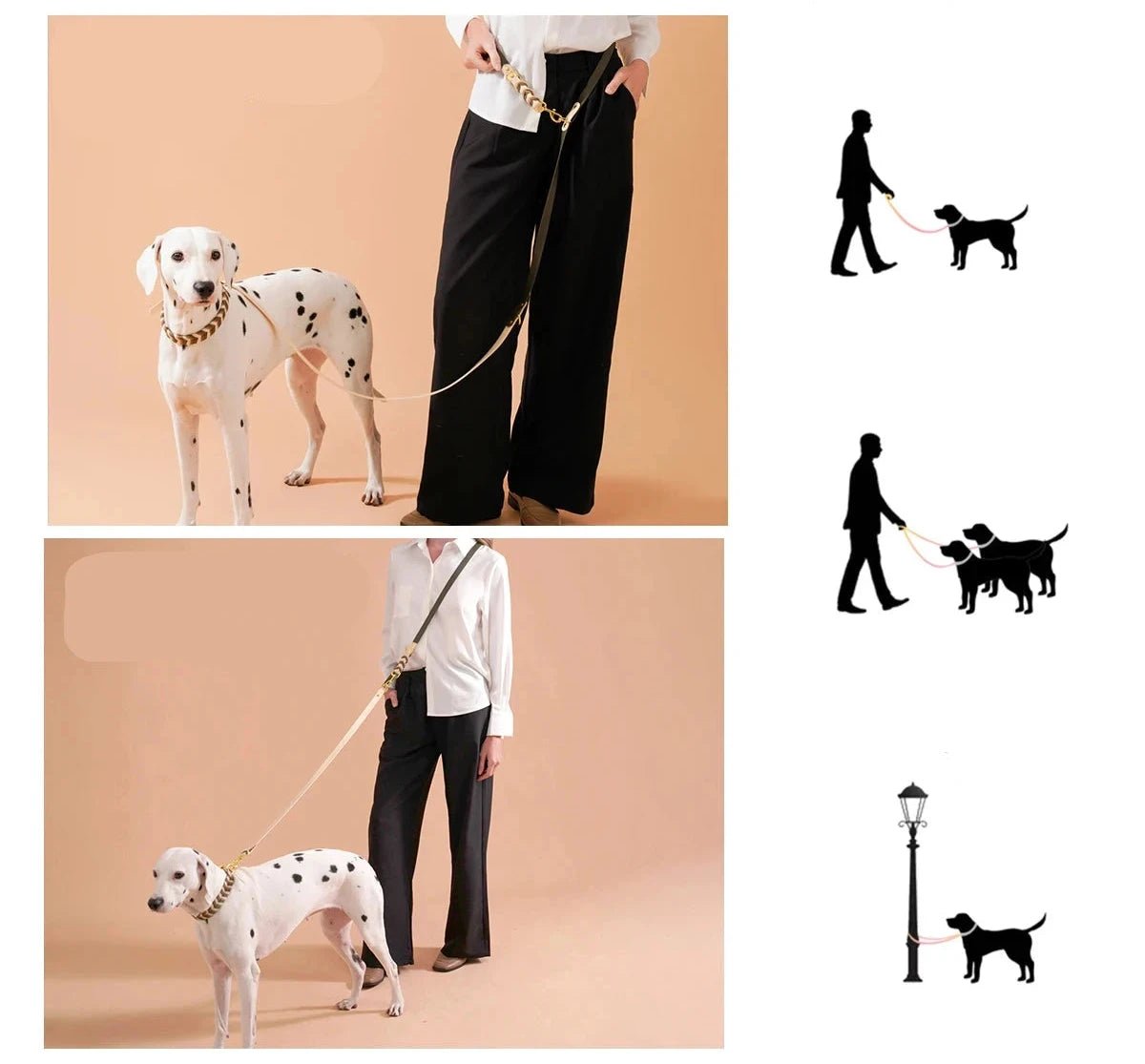 Laisse mains libres multi - fonction pour chien - Oscar et Plume