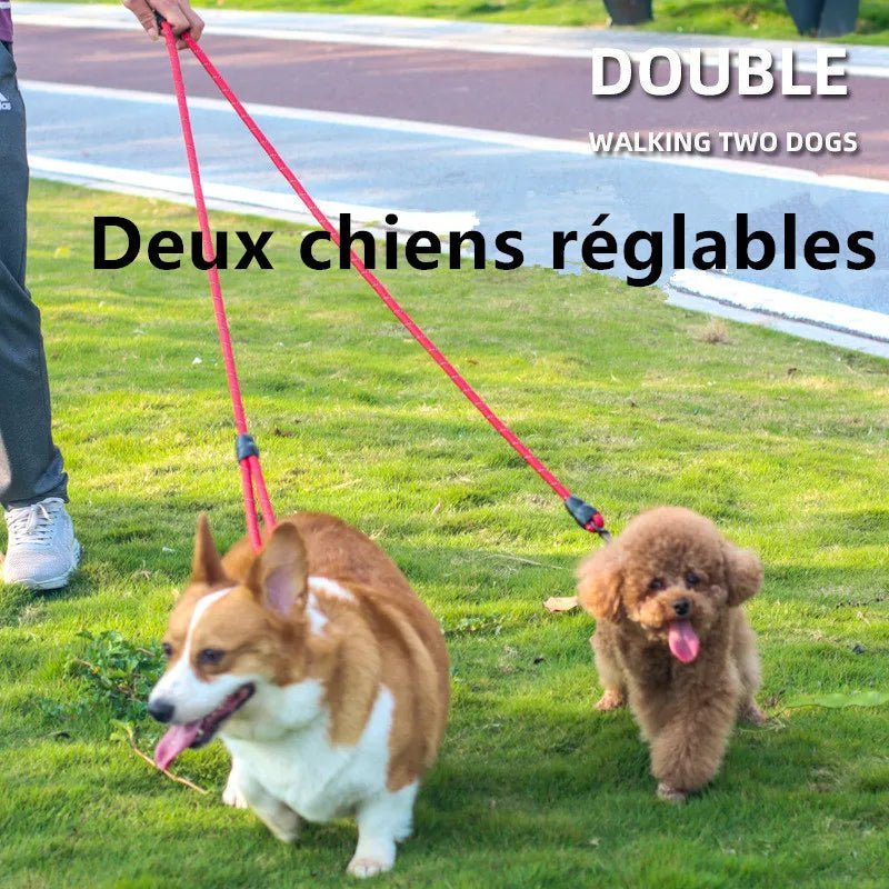 Laisse mains libres pour chien, multi-fonction, réfléchissante, 2,4 mètres Oscar et Plume Rouge