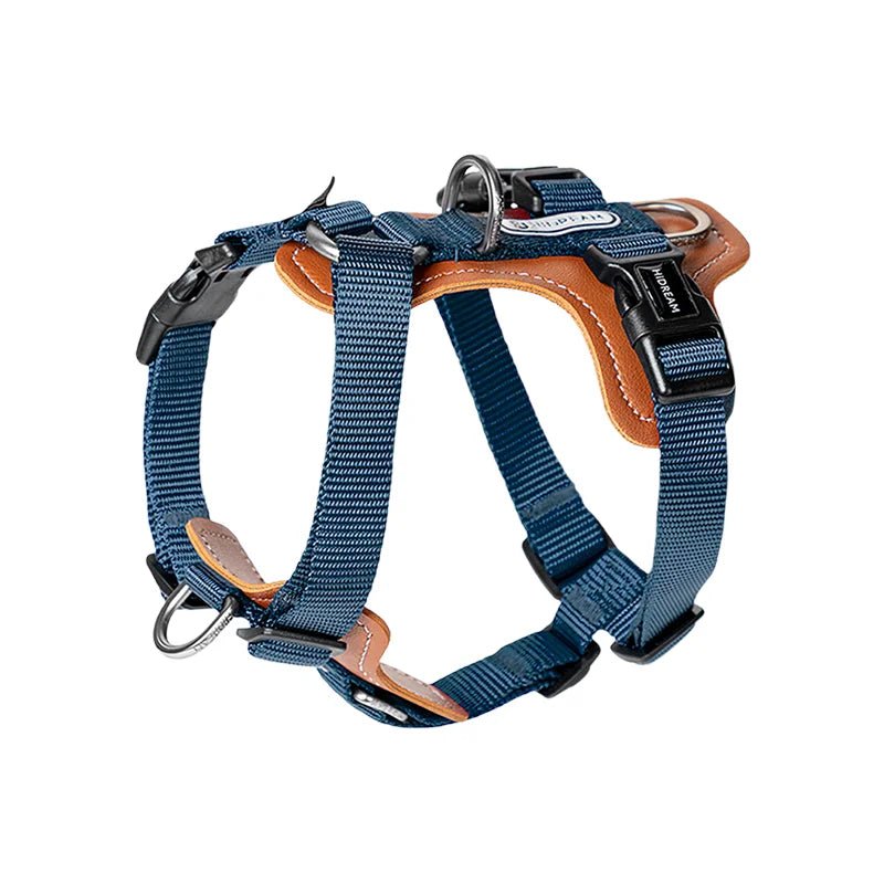 Laisse multi-fonction en nylon et harnais coordonné pour chien Oscar et Plume Harnais Bleu / S