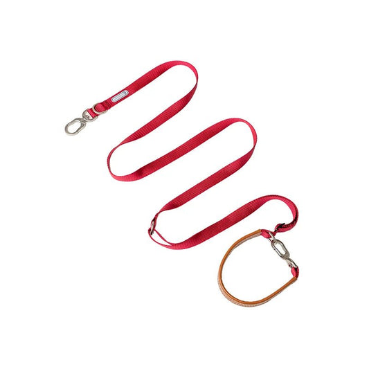 Laisse multi-fonction pour chien en rouge avec mousqueton et poignées ajustables pour le confort