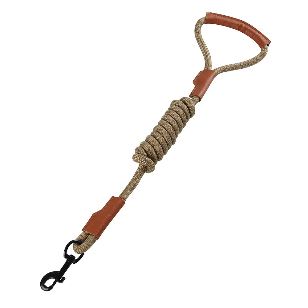Laisse pour chien en corde tressée avec poignées en cuir pour un confort optimal lors des promenades