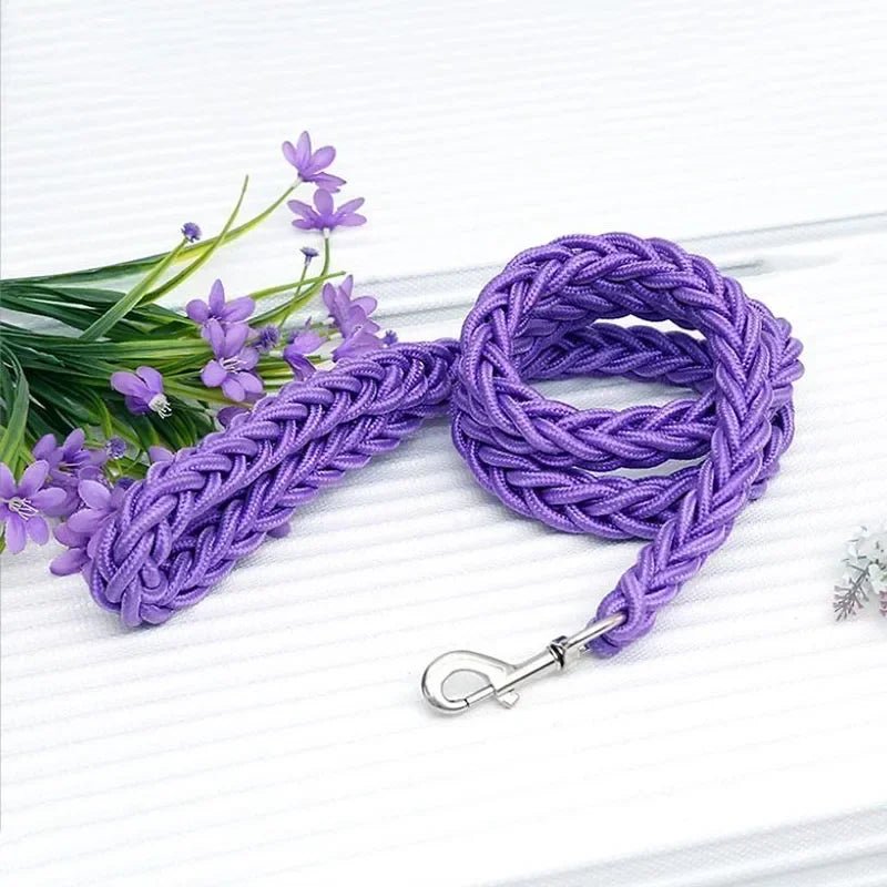 Laisse résistante en nylon de 1,3 m pour chien Oscar et Plume Violet / Diamètre 1.5 cm