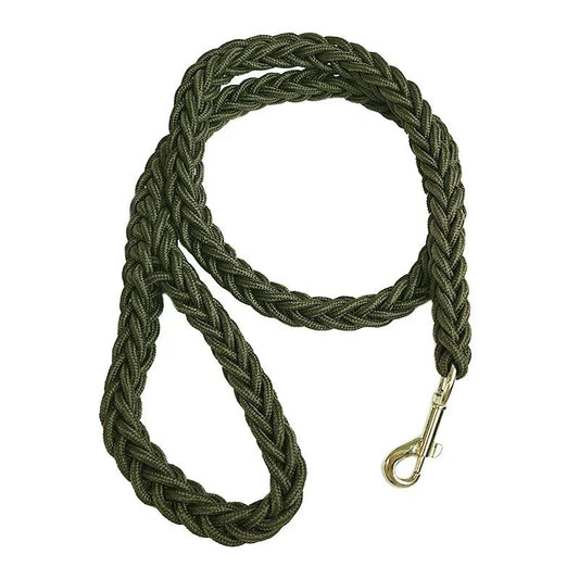 Laisse résistante en nylon de 1,3 m pour chien Oscar et Plume Vert / Diamètre 1.5 cm