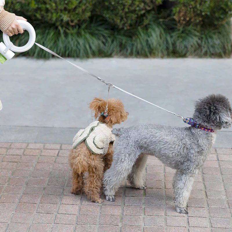 Laisse rétractable avec lumière Led pour chat ou chien Oscar et Plume