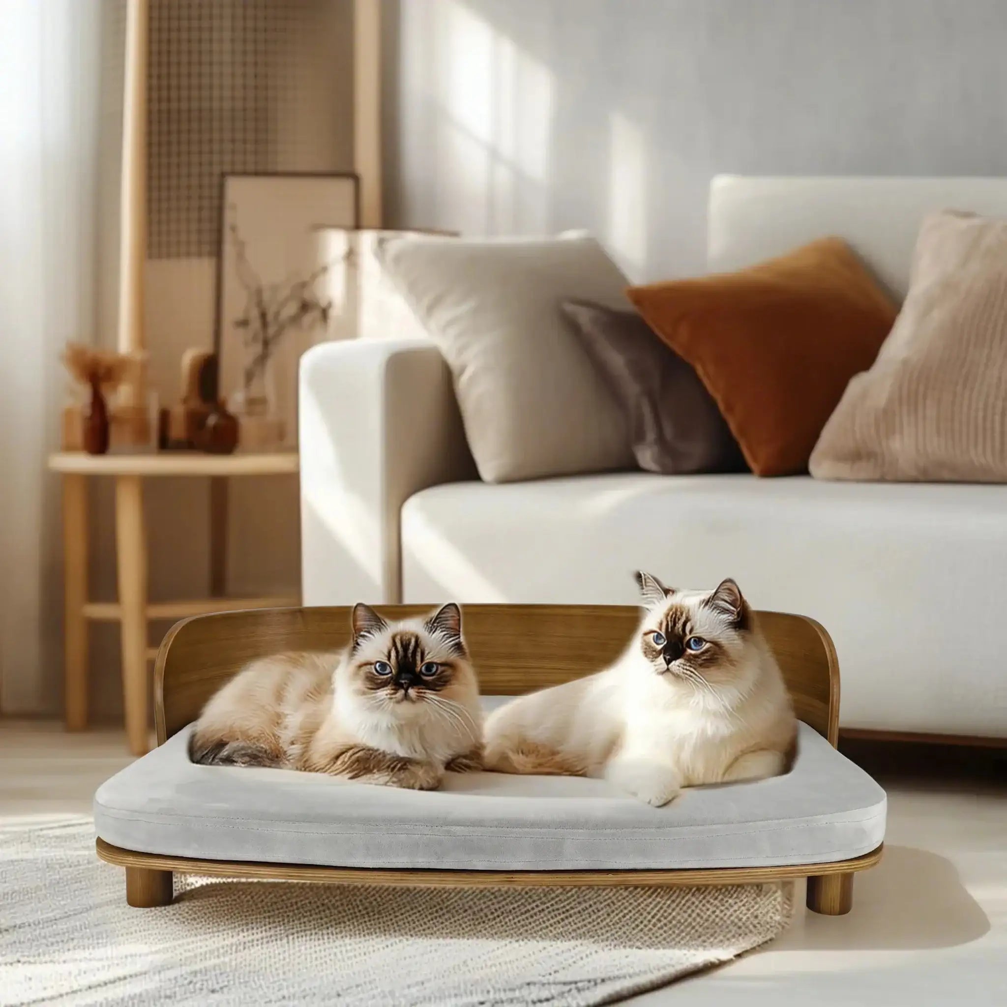 Lit canapé en bois pour chat avec deux chats posés sur un coussin gris dans un salon moderne