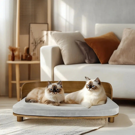 Lit canapé en bois pour chat avec deux chats posés sur un coussin gris dans un salon moderne