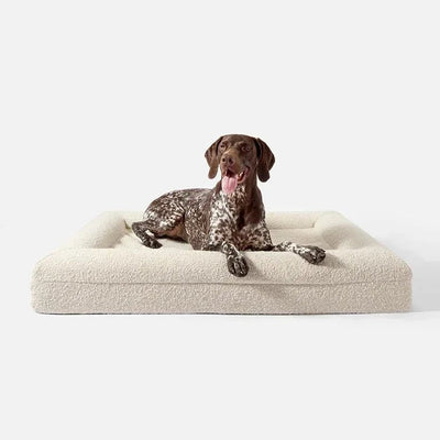 Lit design pour chien Oscar et Plume en tissu beige doux avec un chien allongé dessus