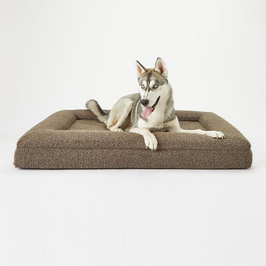 Lit design pour chien marron moelleux avec un husky allongé dessus