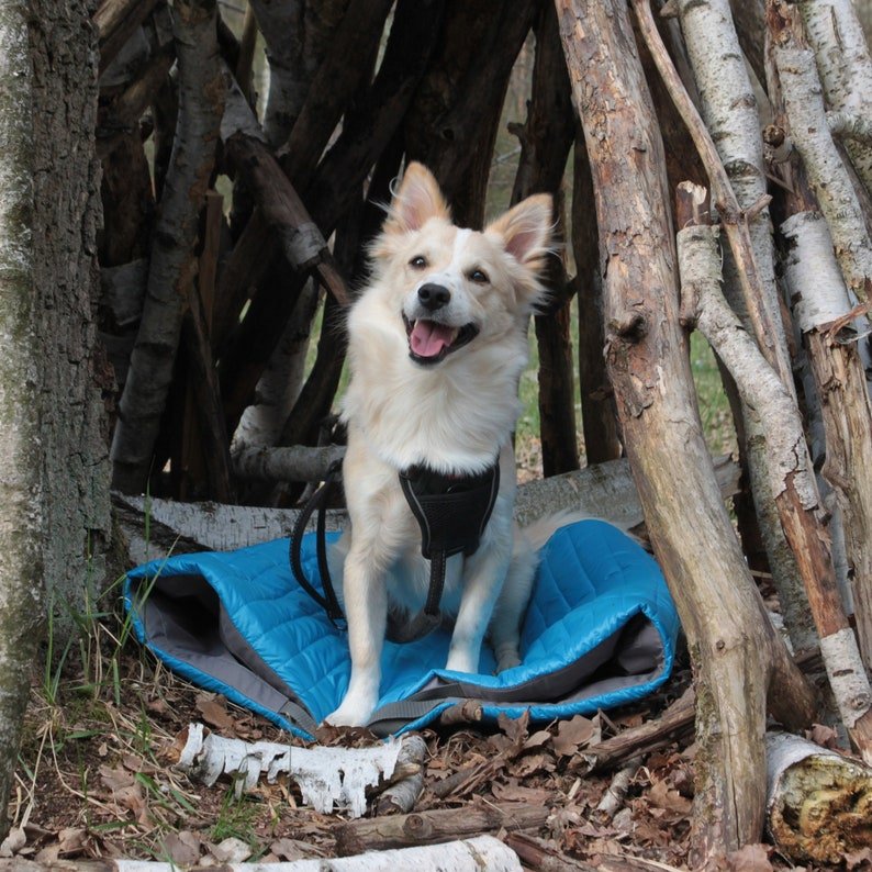 Lit d'extérieur étanche pour chien Oscar et Plume