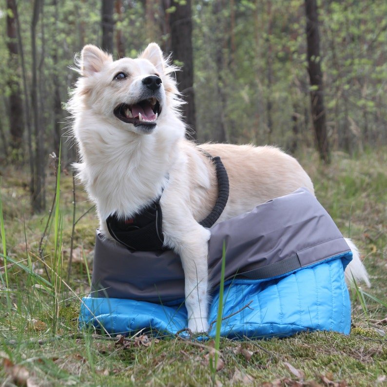 Lit d'extérieur étanche pour chien Oscar et Plume