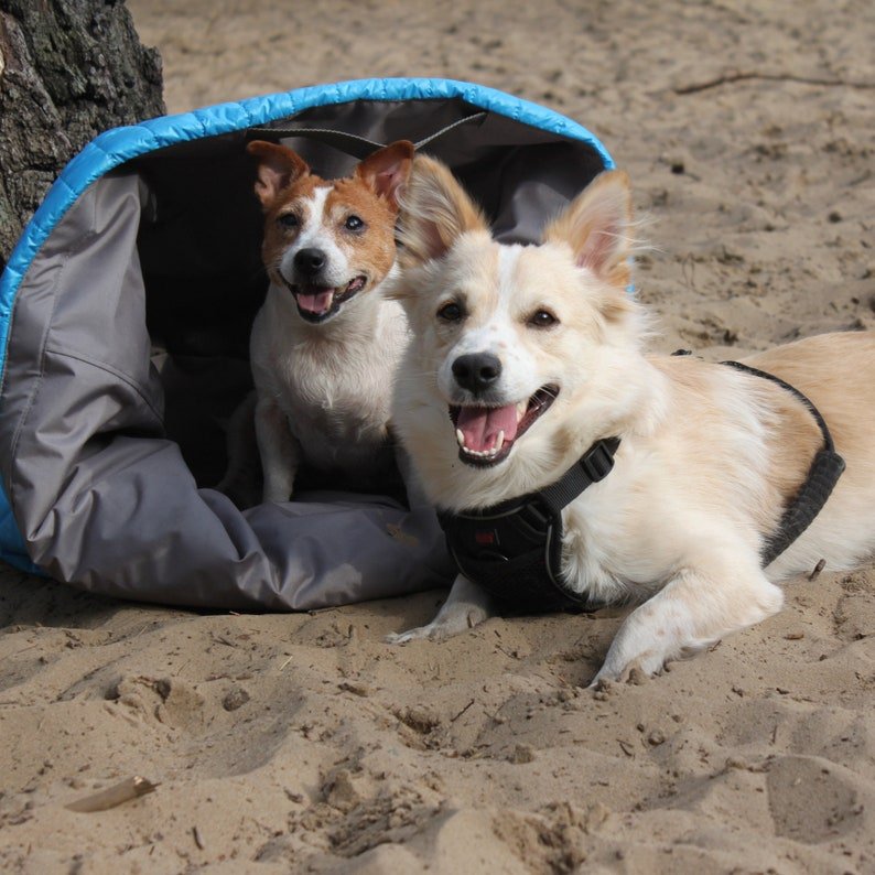 Lit d'extérieur étanche pour chien Oscar et Plume