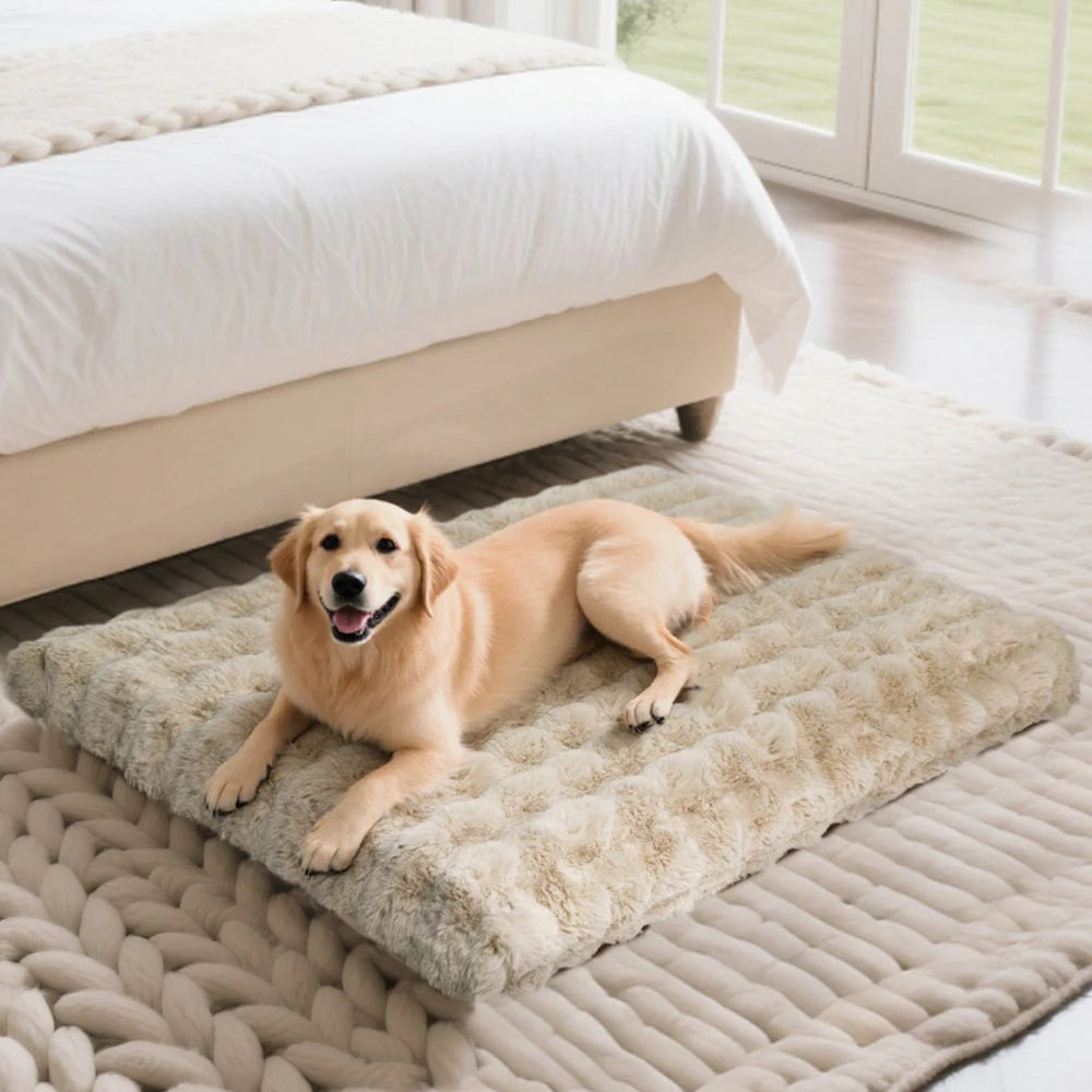 Golden Retriever allongé sur lit moelleux pour chien beige Oscar et Plume dans une chambre lumineuse