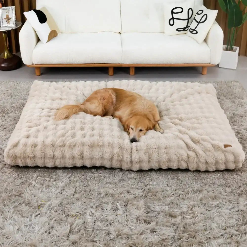 Golden retriever couché sur un grand lit moelleux pour chien beige Oscar et Plume dans un salon