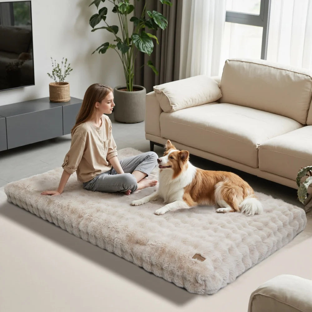 Grand lit moelleux pour chien beige dans un salon moderne femme assise à côté du chien détendu