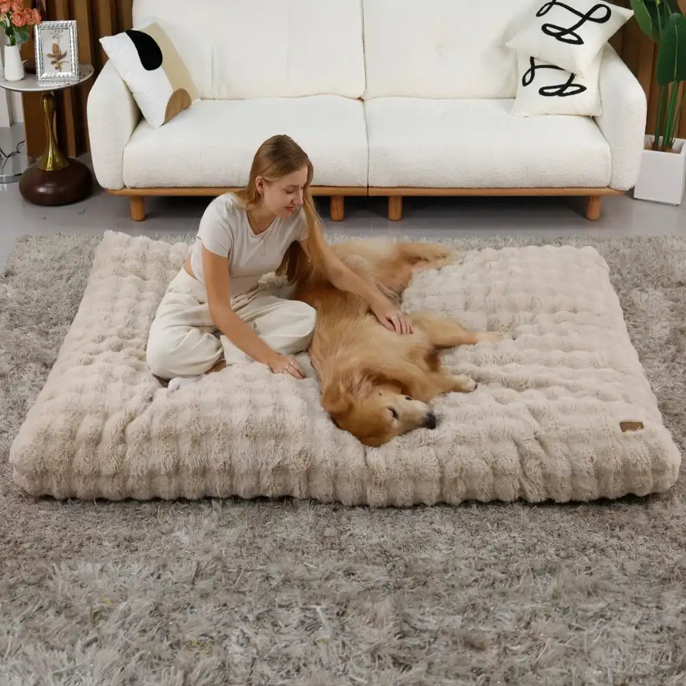 Oscar et Plume lit moelleux pour chien grand matelas beige en peluche dans un salon femme caresse chien