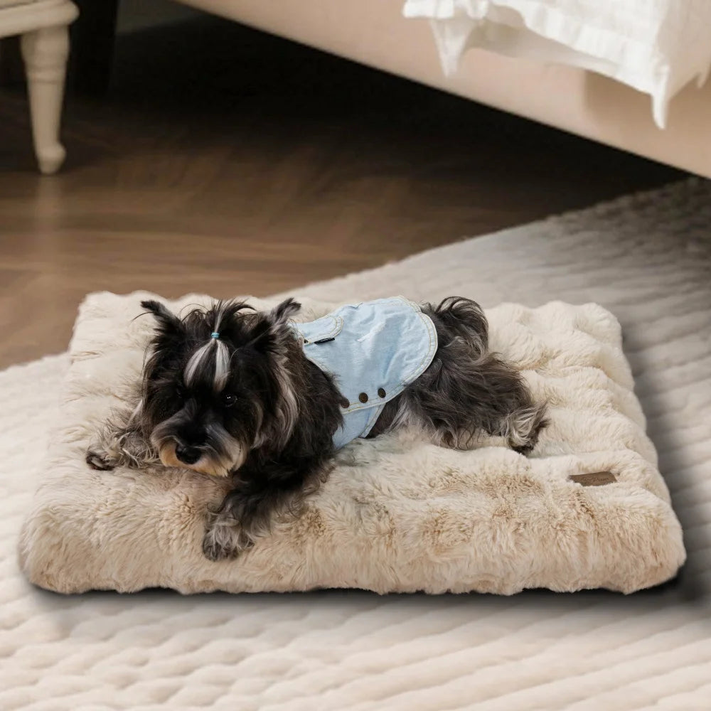 Oscar et Plume lit moelleux pour chien beige en fausse fourrure avec petit chien portant une veste denim