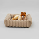 Petit chien assis confortablement dans un lit pour chien en velours beige dans un salon lumineux