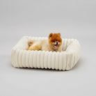 Lit pour chien en velours blanc moelleux avec petit chien Poméranien couché à l'intérieur