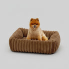 Lit pour chien en velours marron moelleux avec petit chien assis à l'intérieur dans un salon lumineux