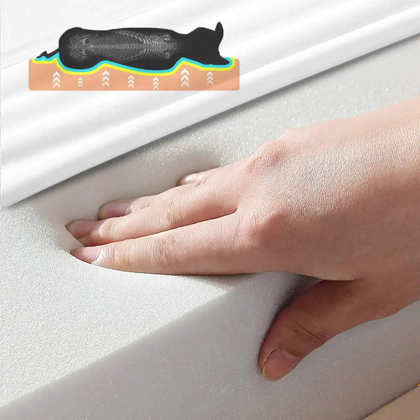 Lit pour chien mémoire de forme en mousse avec main montrant l'empreinte et le confort