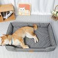 Bild in Galerie-Betrachter laden, Lit waterproof pour petit et grand chien Oscar et Plume
