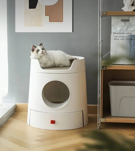 Litière Design Pour Chat