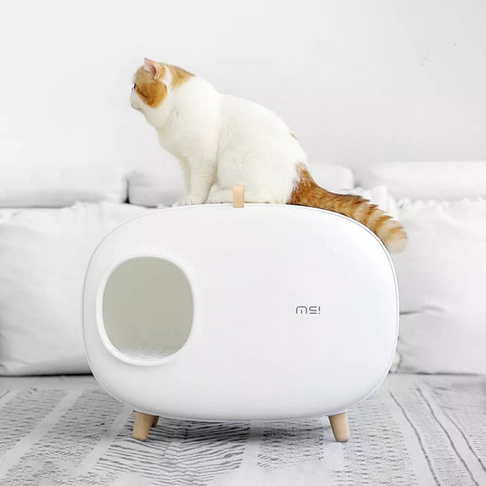 Litière design pour chat Oscar et Plume