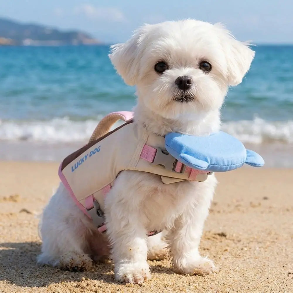 Gilet de sauvetage pour chien en rose avec flotteur bleu, idéal pour les activités nautiques