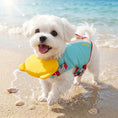Carica l'immagine nel visualizzatore della galleria, Chien portant un gilet de sauvetage pour chien bleu et jaune, jouant sur la plage au bord de l'eau
