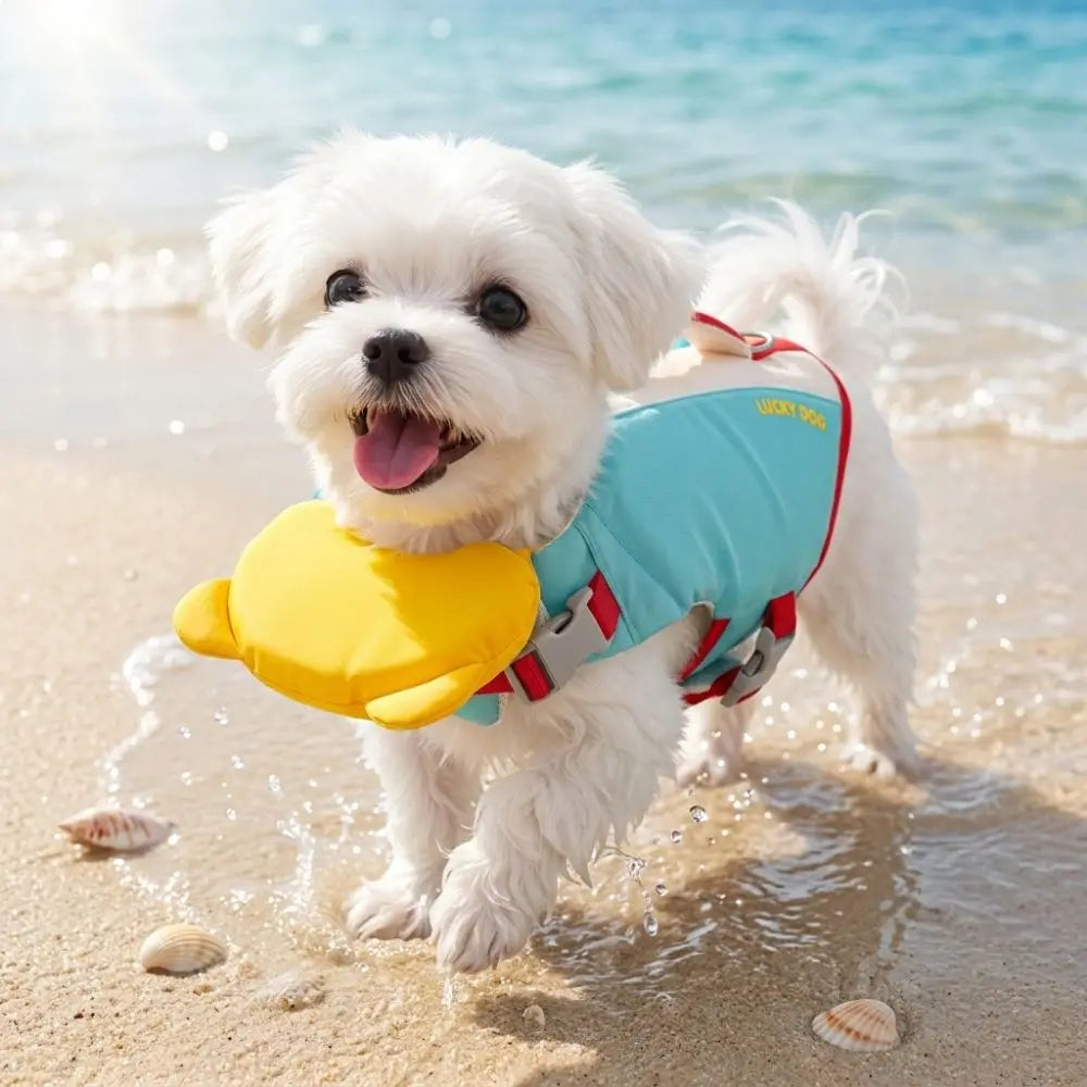 Chien portant un gilet de sauvetage pour chien bleu et jaune, jouant sur la plage au bord de l'eau