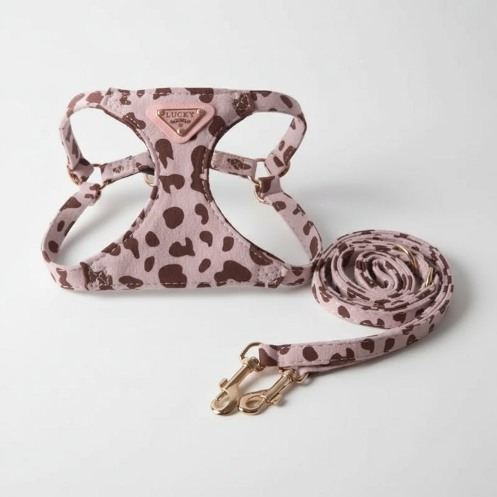 Harnais double crochet pour chien avec motif tacheté et laisse assortie de Oscar et Plume