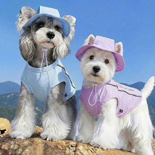 Chiens avec chapeaux et T-Shirt refroidissant en bleu et violet pour temps chaud