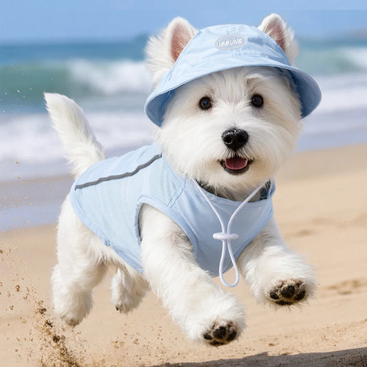 Chien avec un T-Shirt refroidissant bleu et un chapeau sur la plage, courant joyeusement sur le sable