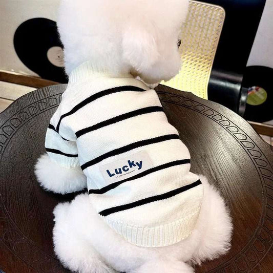 Chien blanc portant un pull rayé pour chien blanc avec rayures noires et étiquette Lucky